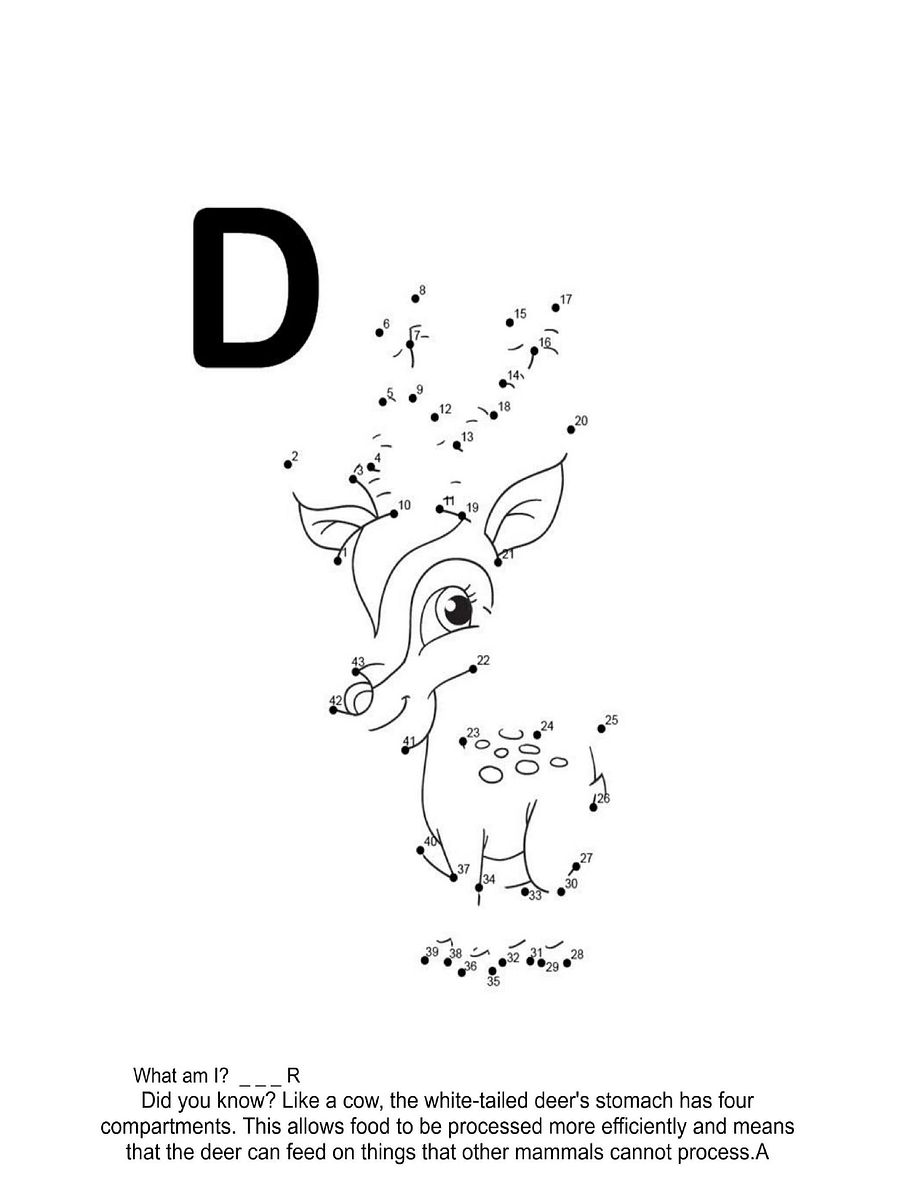 Dot to Dot Jungle Animals Coloring Book product image (5)