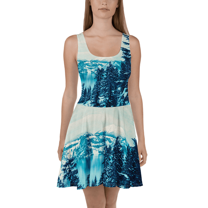 Crater Lake Lomopurple Skater Dress product image (2)