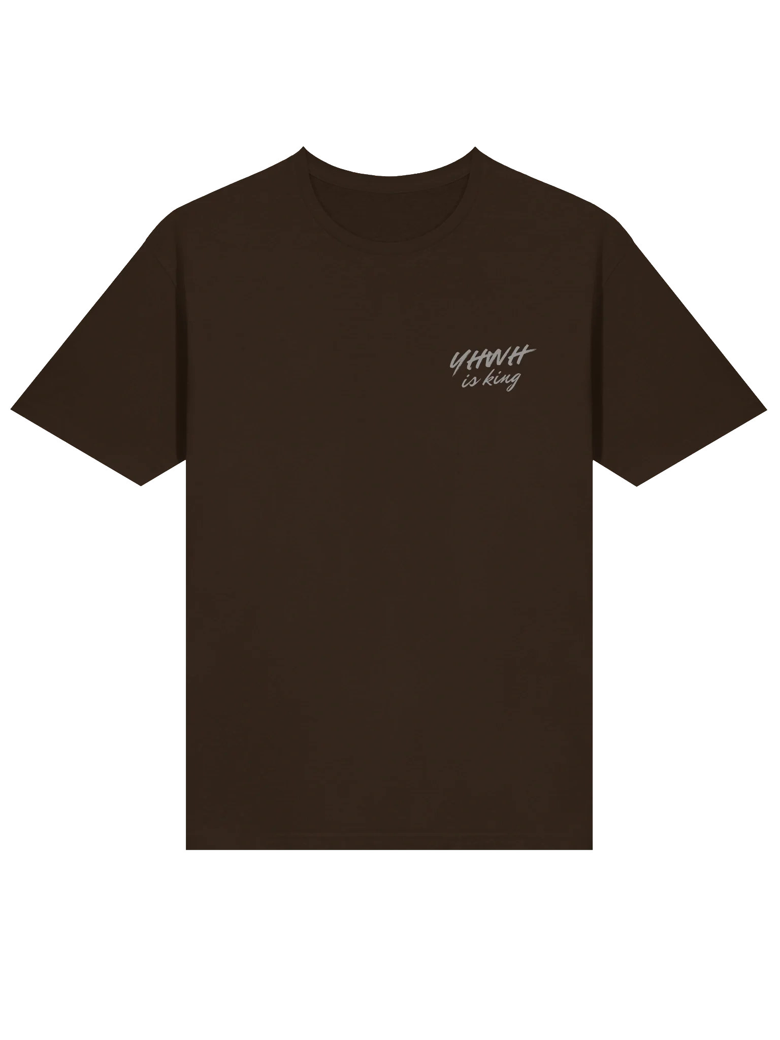 YHWH is King Brush Script T-Shirt product image (18)