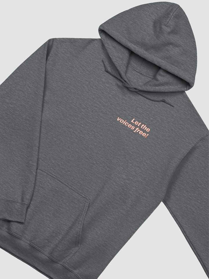 AVAG hoodie product image (2)