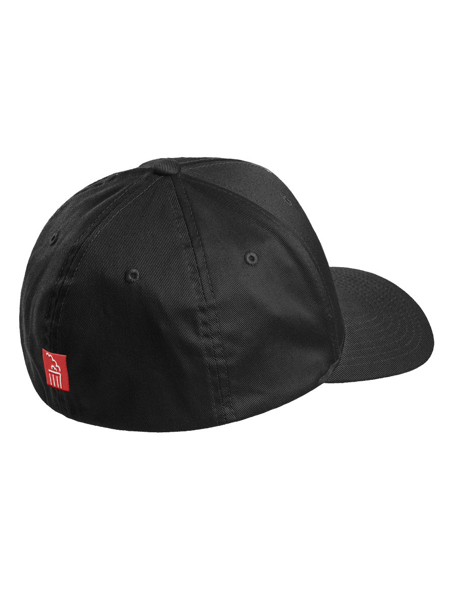 WBTP Flexfit Cap product image (12)