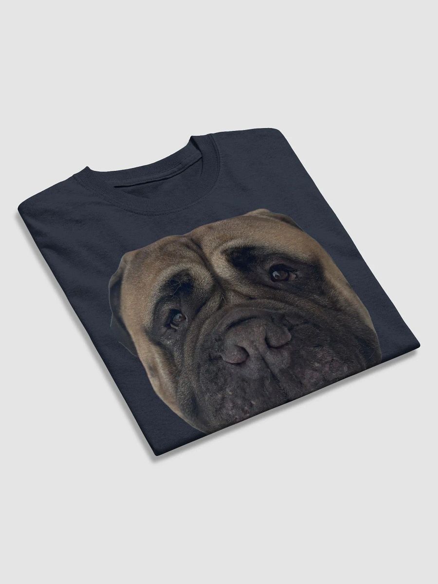 Big Head Meech product image (12)