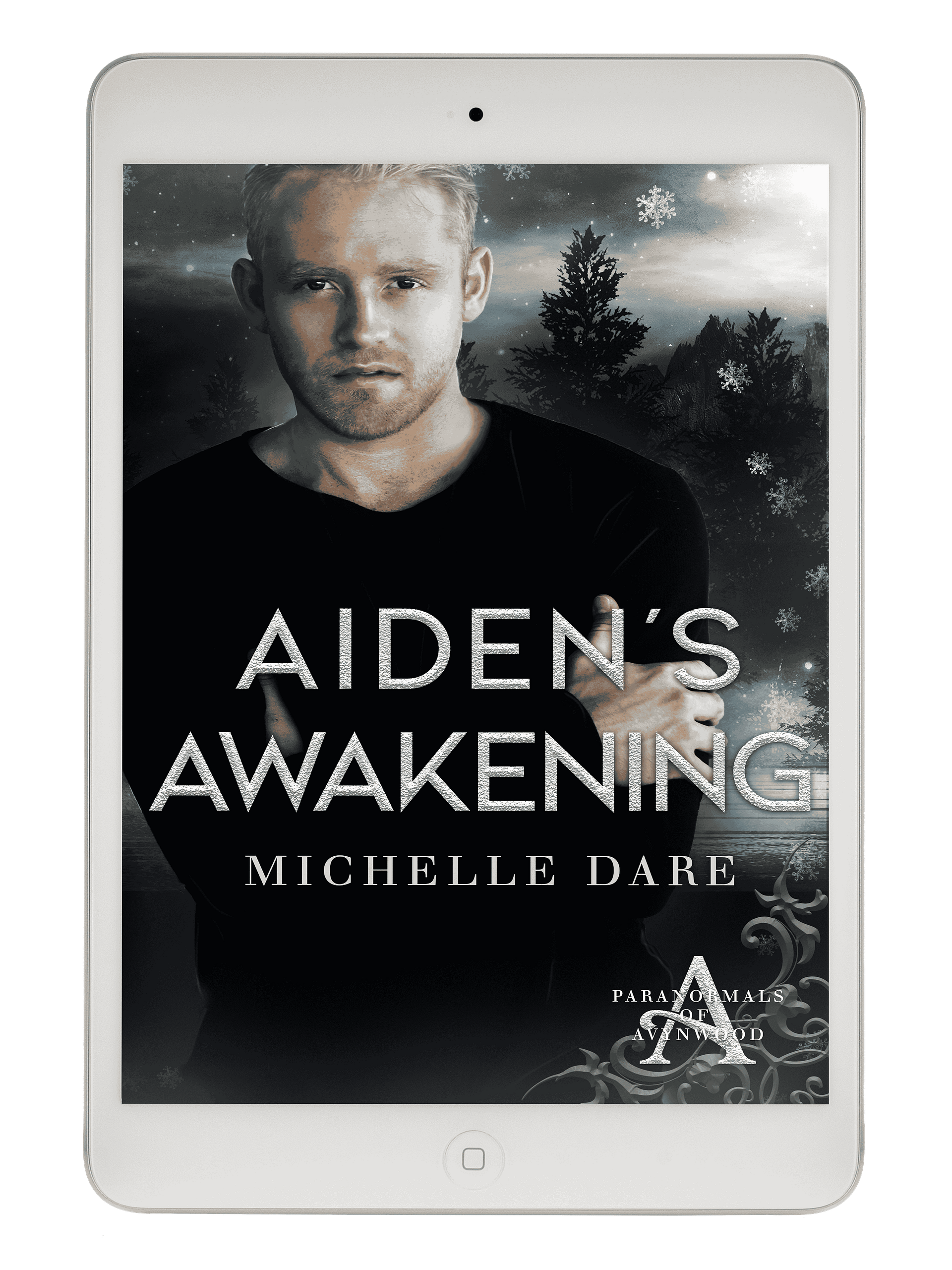 Aiden’s Awakening product image (1)
