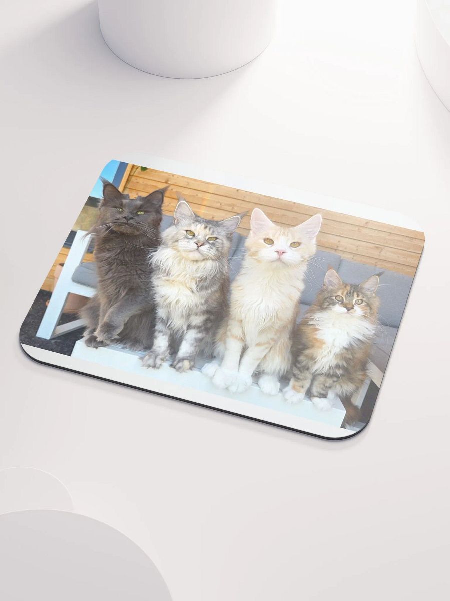 4 Generations - Mouse Pad product image (4)