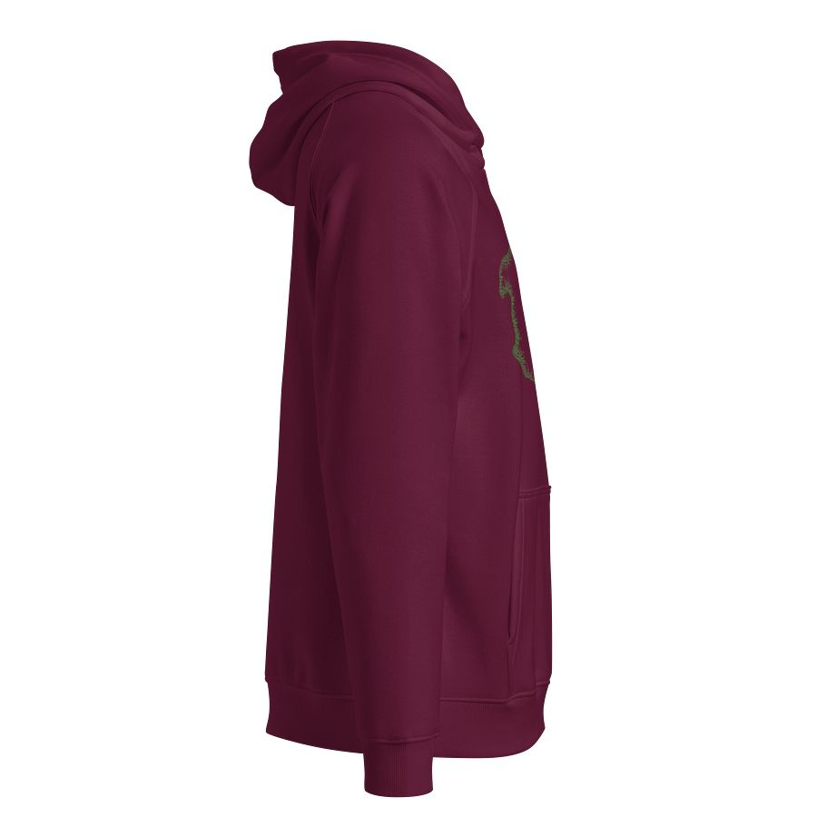 Dragon's Fury Eco Raglan Hoodie product image (3)