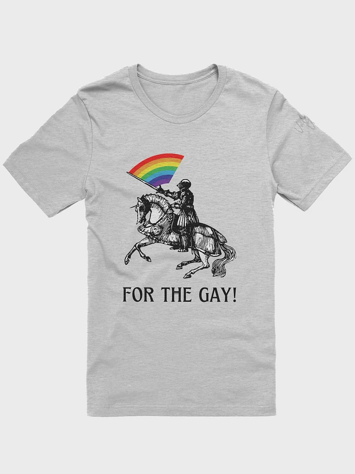 FOR THE GAY Tee product image (11)