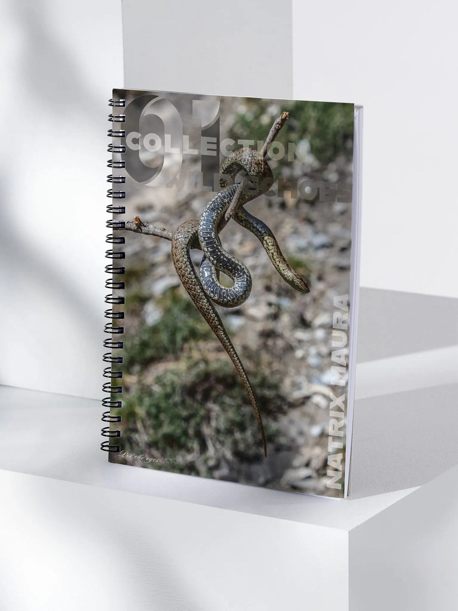 Wild Echoes Notebook – Natrix Maura – A5 Format product image (4)