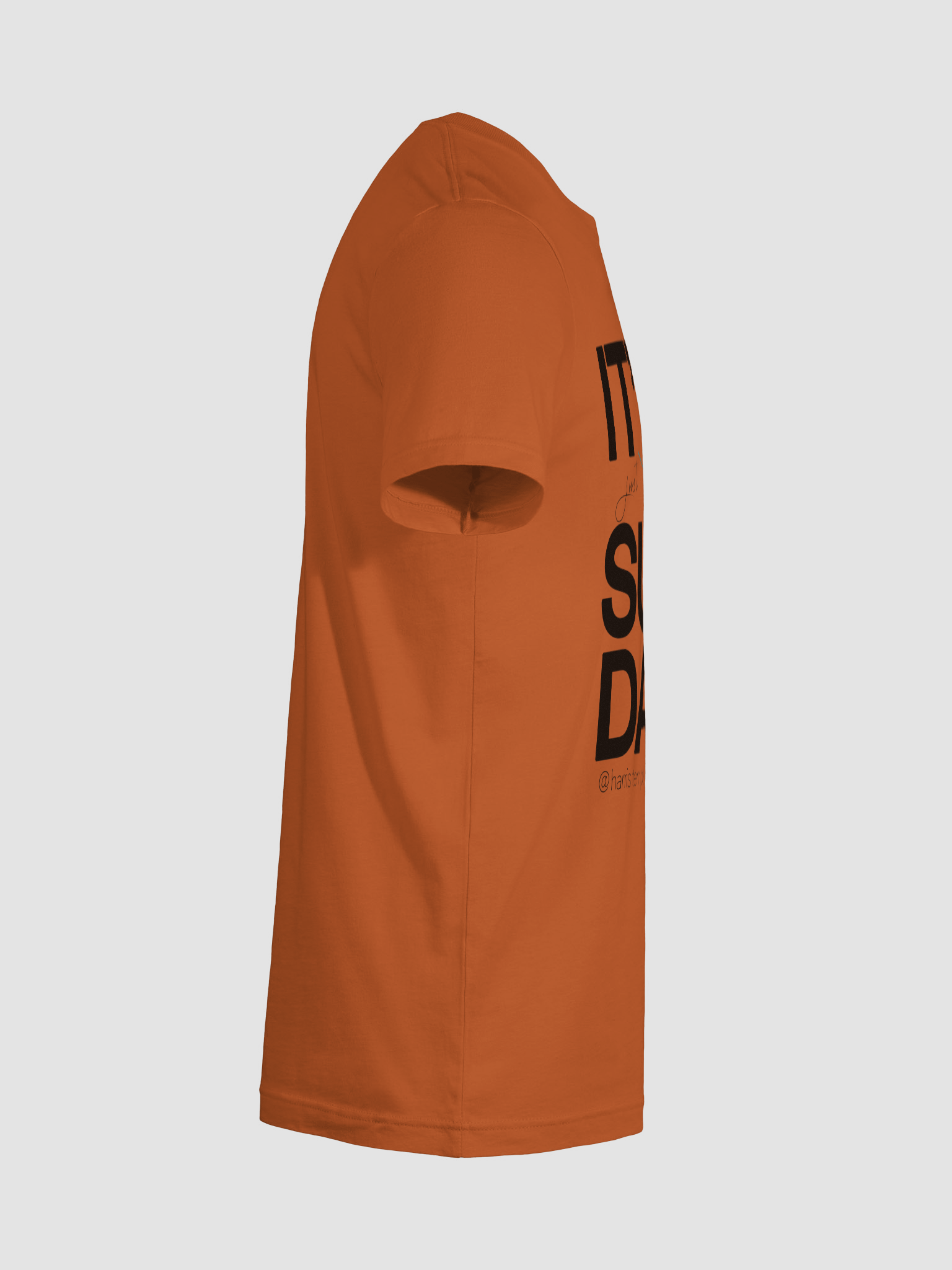 Elevate Your Style with Temple Merch Highlight T-Shirt product image (45)