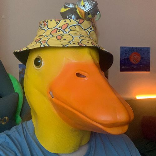 🦆DUCKY-CEPTION 🦆