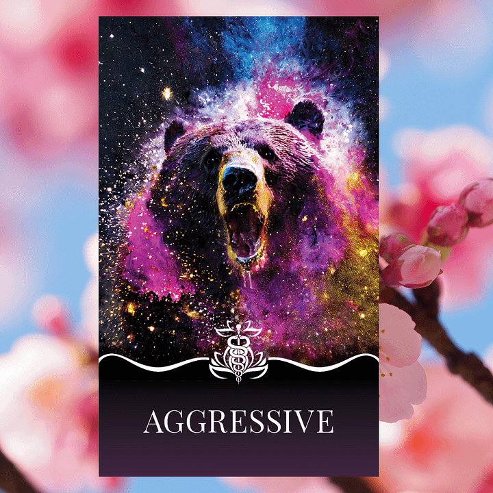 Psychic Soul Oracle System product image (2)