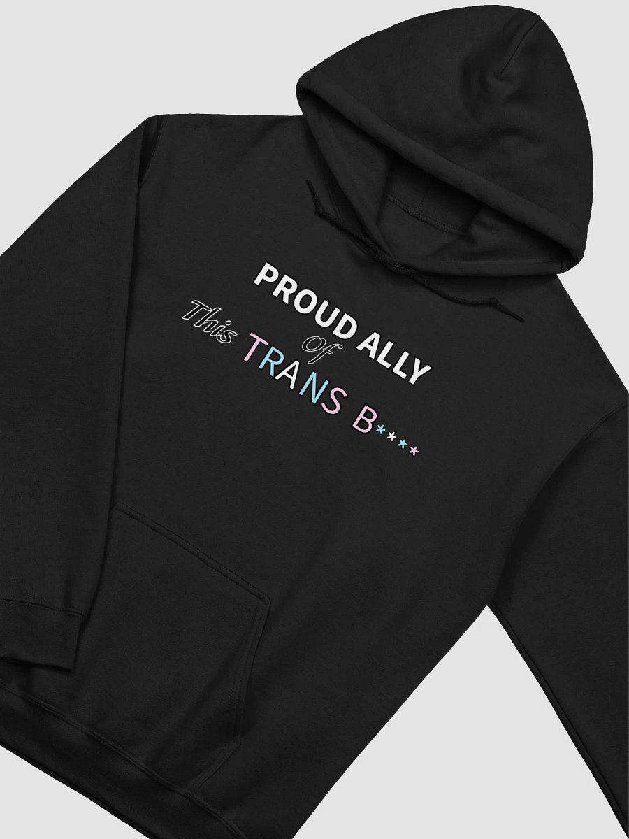 Pretty Proud Ally Hoodie (Trans) product image (11)