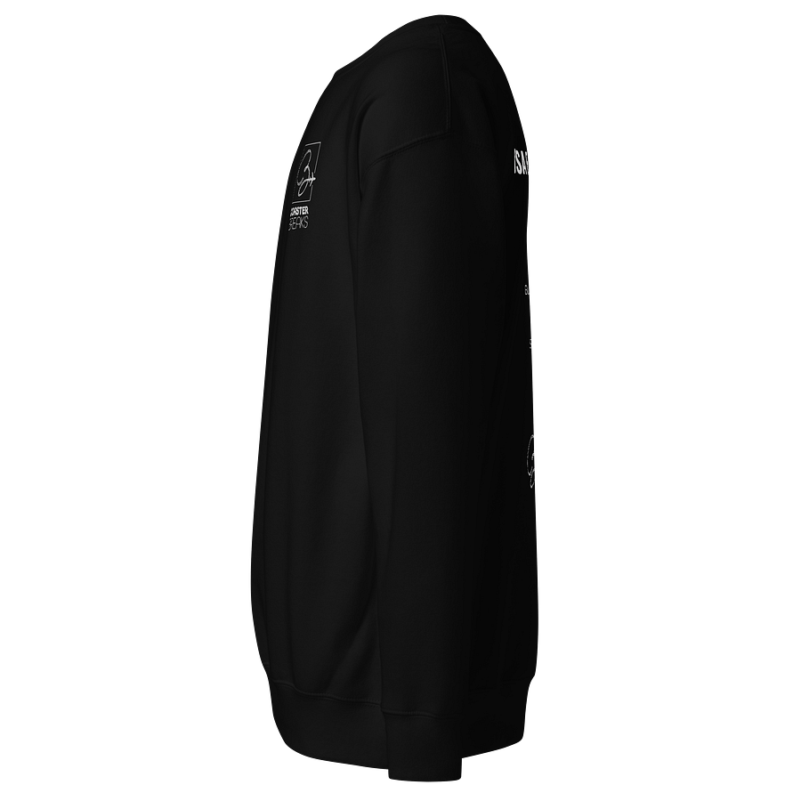USA East Coast Tour Square Logo Sweatshirt - Dark Colours product image (4)