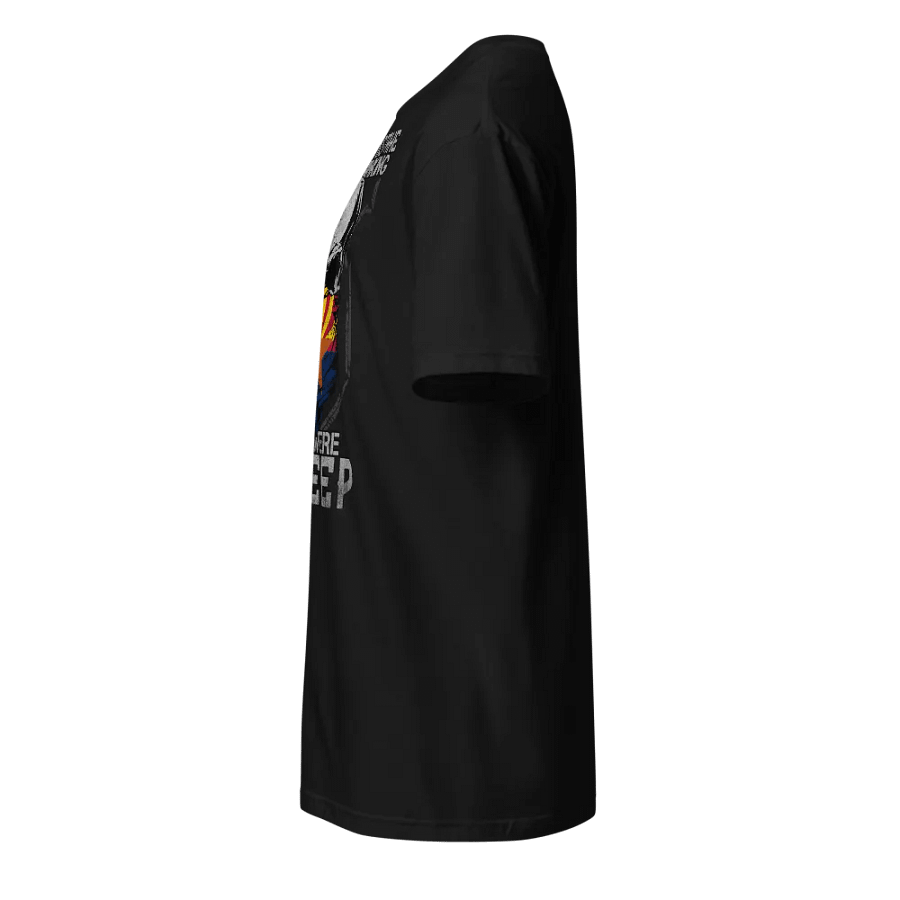 Arizona: Their First Mistake product image (4)