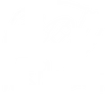 Wes Molebash - Legendary Cartoonist of Legend