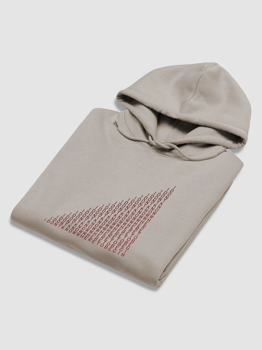 IDKWTB PREMIUM HOODIE product image (4)