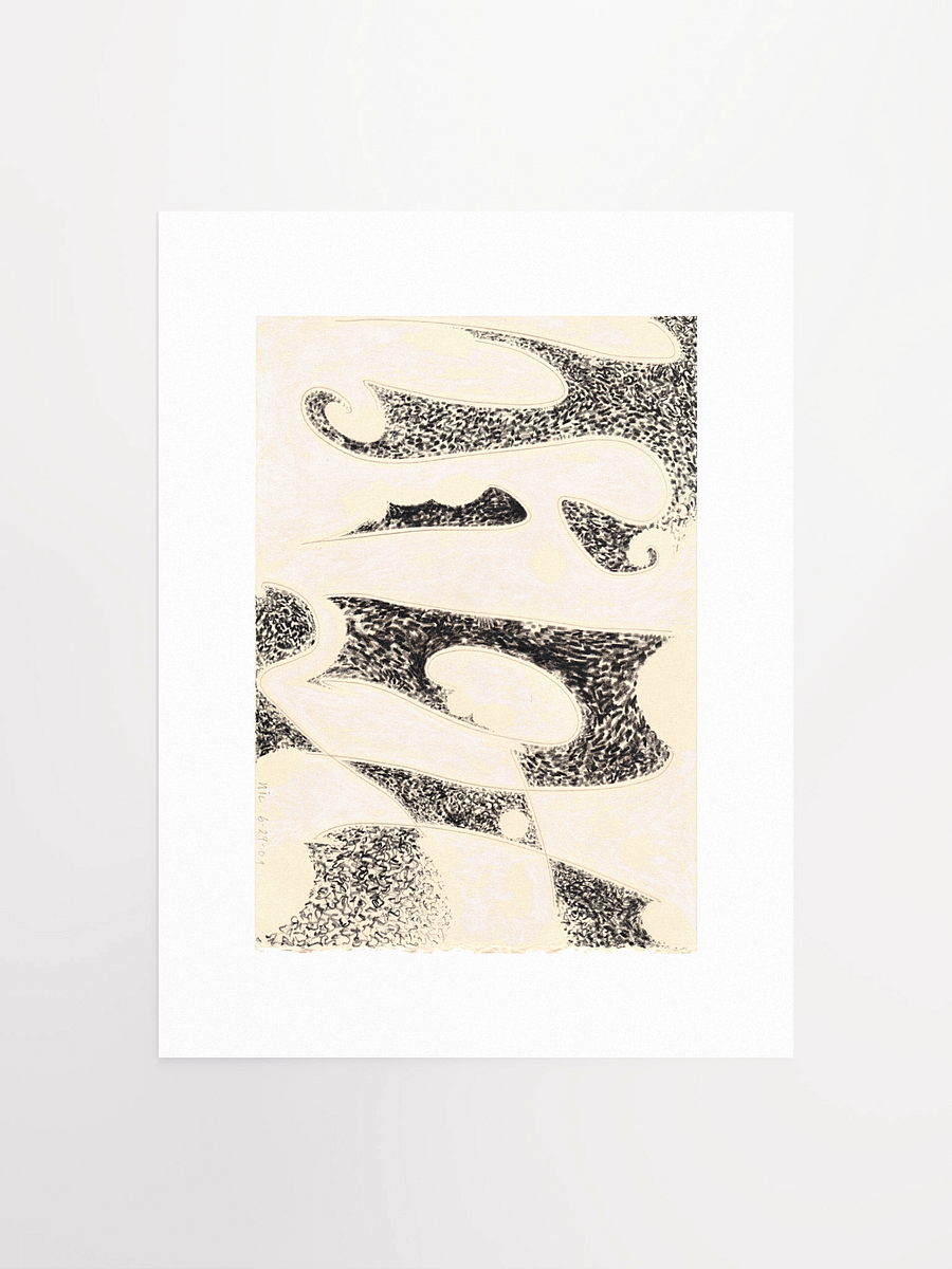 Abstract 17 06.29.09 print product image (2)