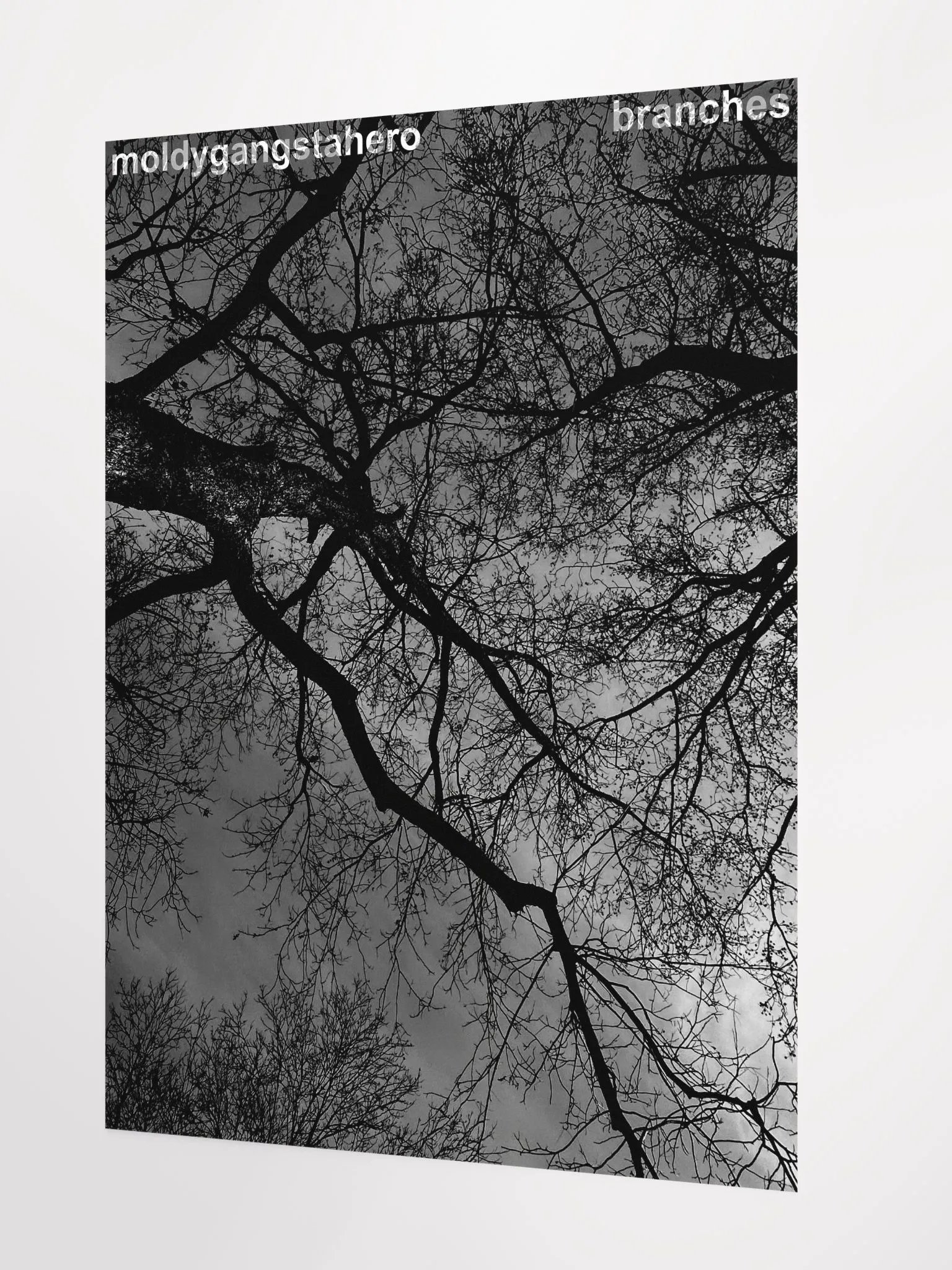 Branches Poster product image (2)