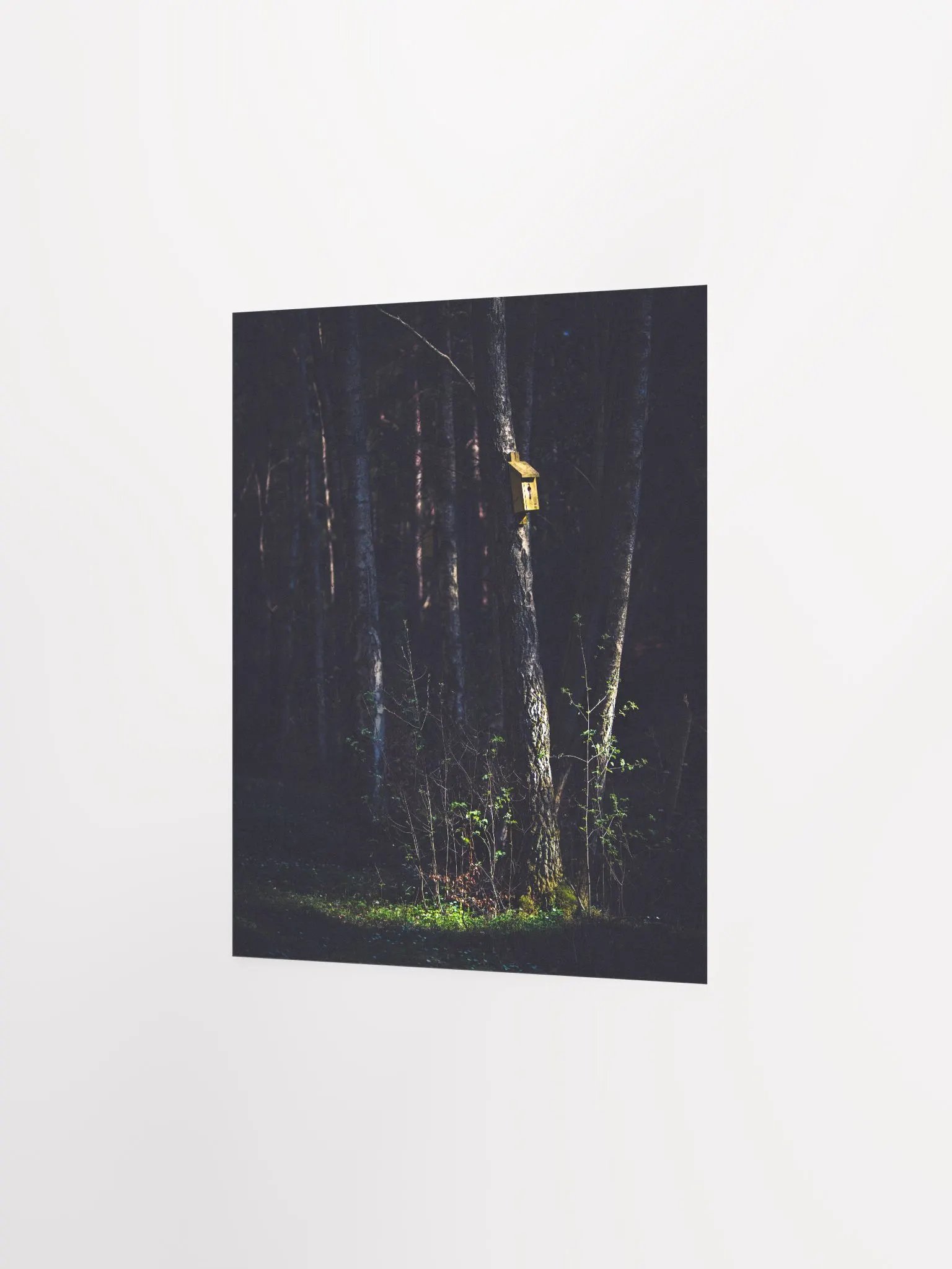 The Bird Box product image (5)