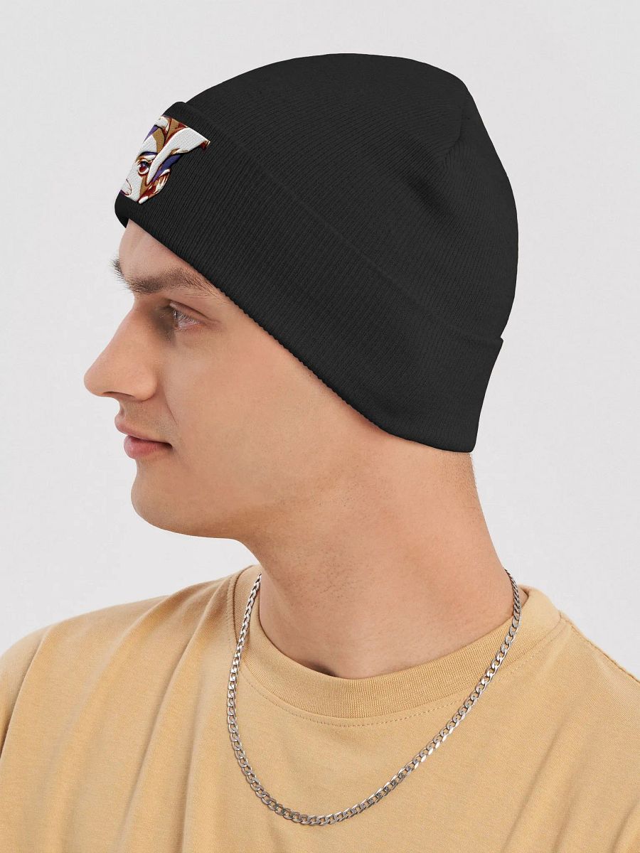 Ryme Framed Beanie product image (20)