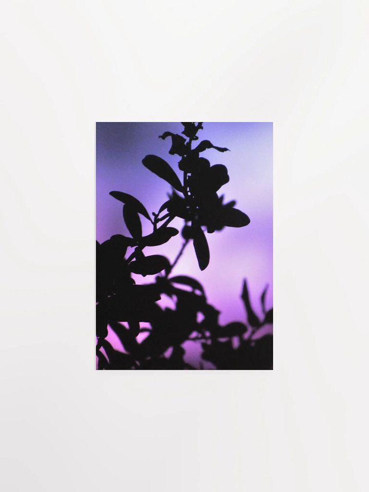 Purple Plant Glow product image (4)