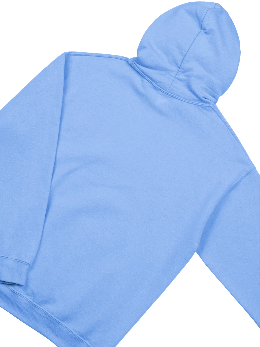 BLT Gamers Level Up Hoodie product image (6)