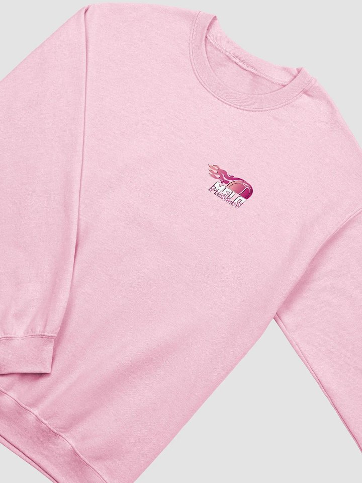 The Booby - Sweatshirt product image (21)