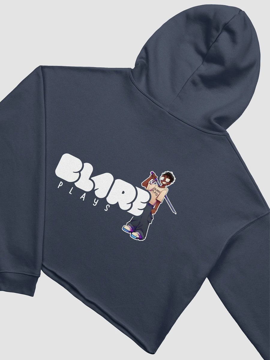 BP Crop Hoodie product image (4)
