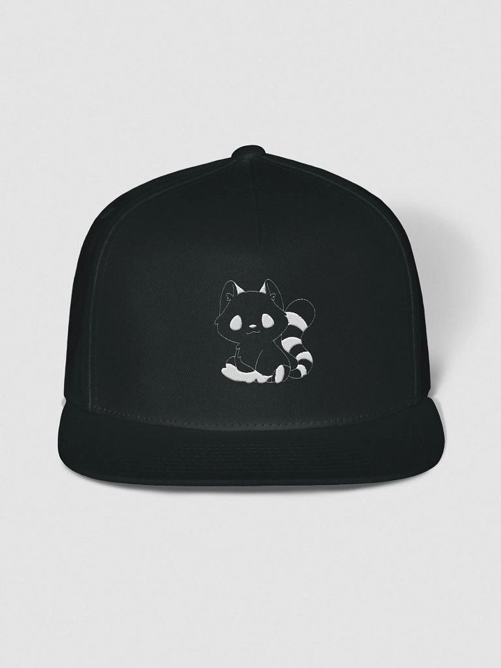 Snapback product image (1)