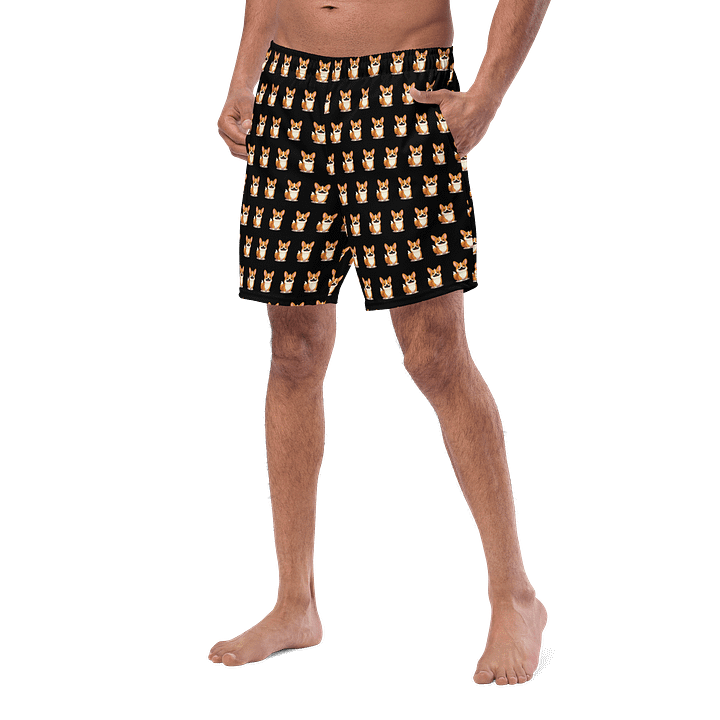 Torgi Swim Trunk Black product image (2)