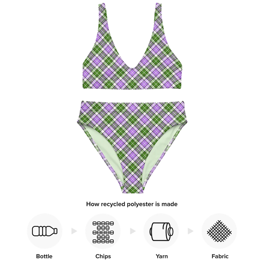 Lavender and Green Plaid Bikini product image (10)