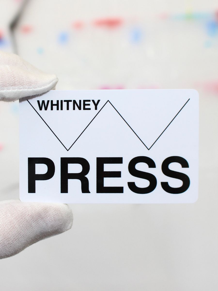 Whitney Museum Press Lifetime Pass product image (1)