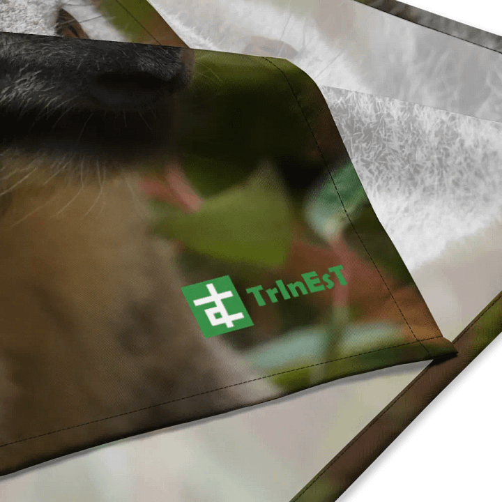 Koala Bandana product image (4)