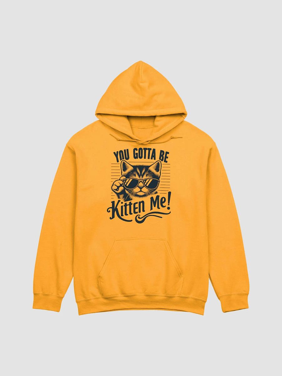 you gotta be kitten me Hoodie product image (11)