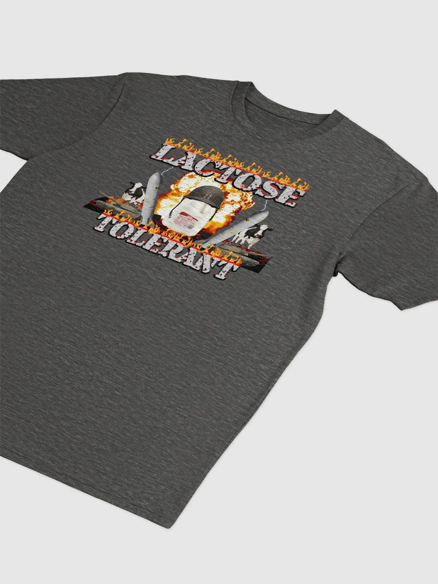 The Lactose Tolerant Gamer product image (4)