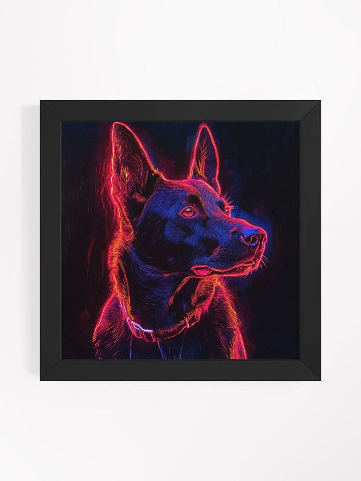 Belgický ovčák Malinois, linie product image (4)