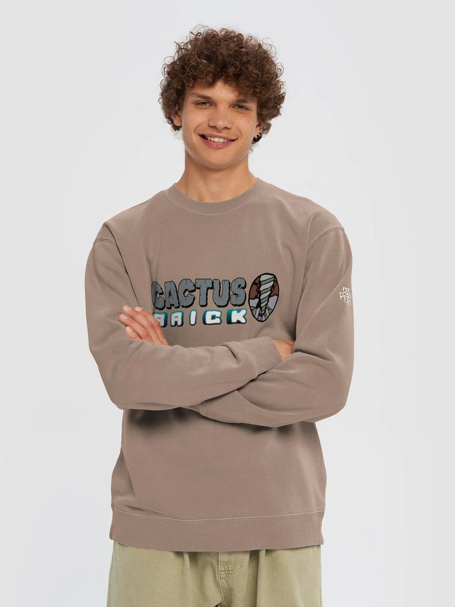 Cactus Brick (Sweater) - Rocky product image (21)