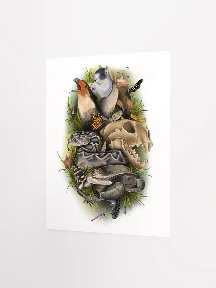 Wild Animals of Florida product image (5)