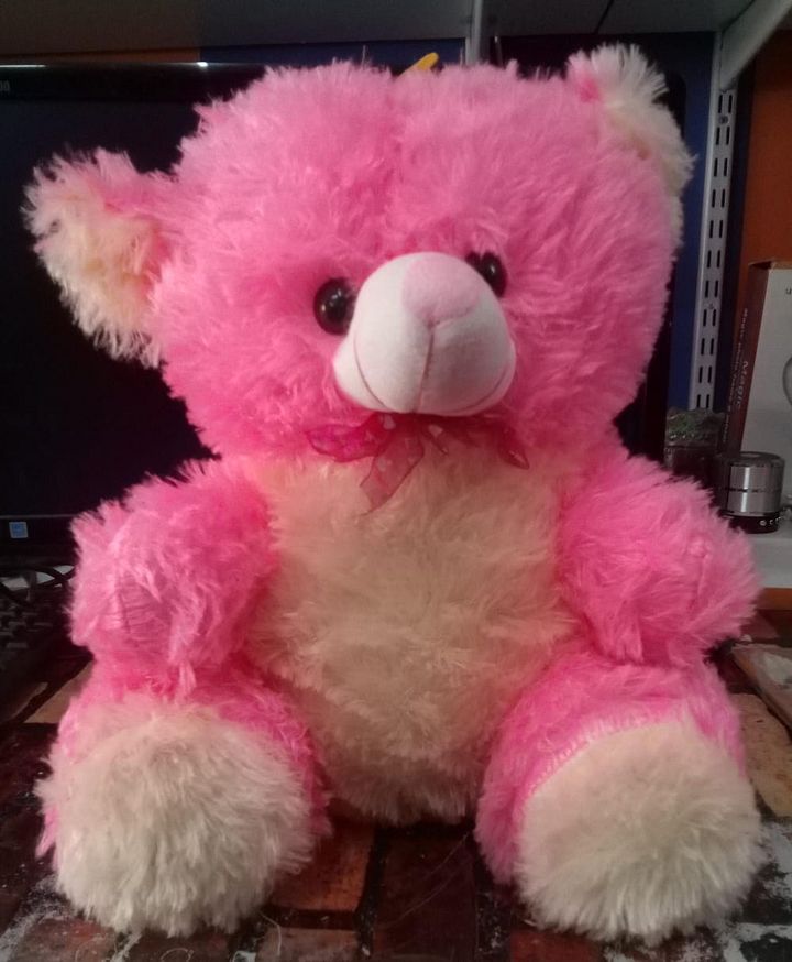 TEDDY BEAR product image (1)