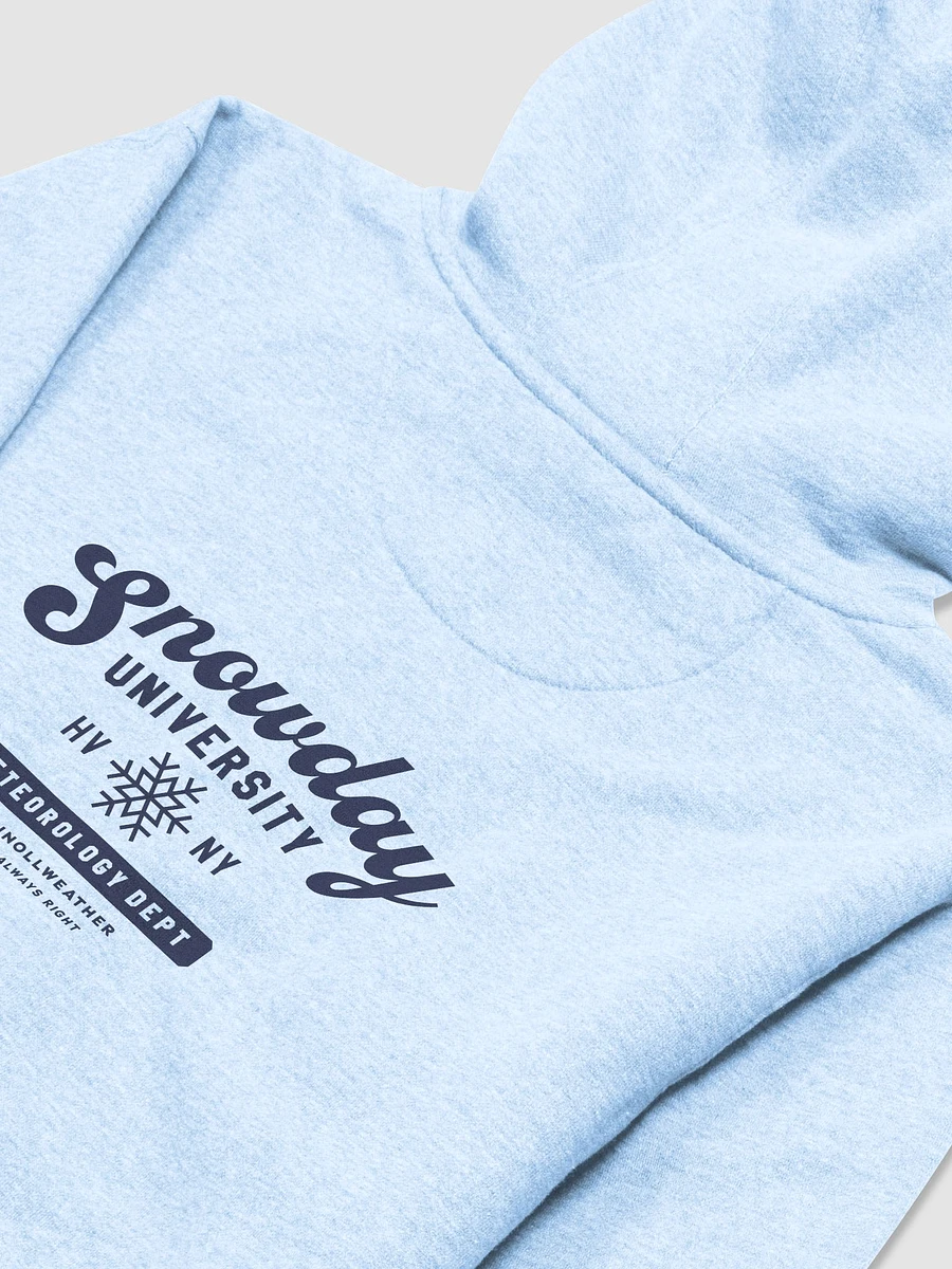 Snowday University hoodie - light blue product image (4)
