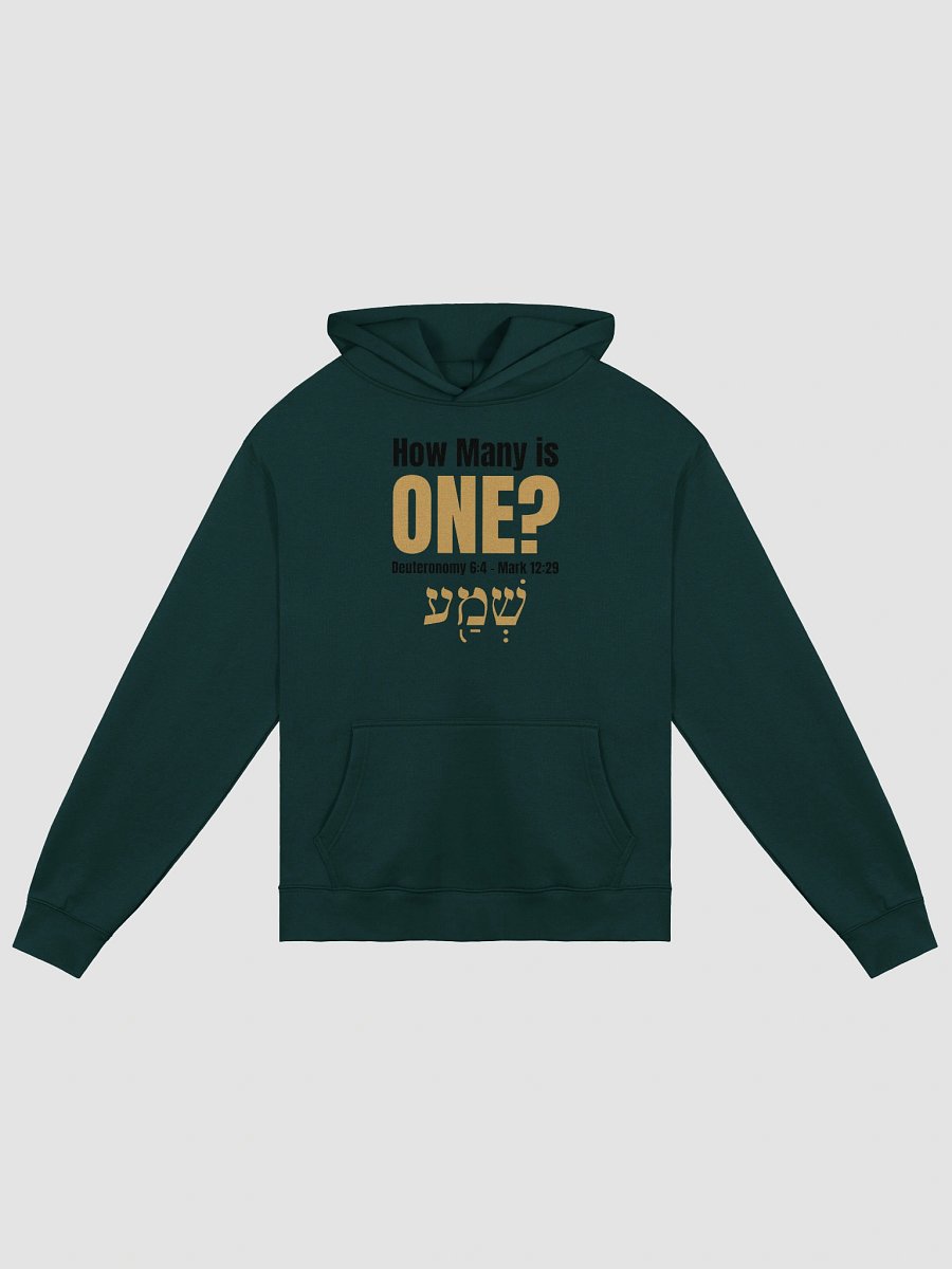 How Many is One Unisex Premium Oversized Hoodie (Black Print) product image (2)