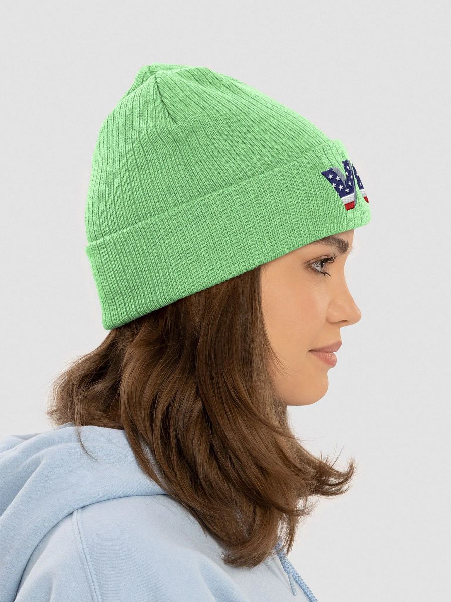 Patriotic Vote Ribbed Beanie product image (56)