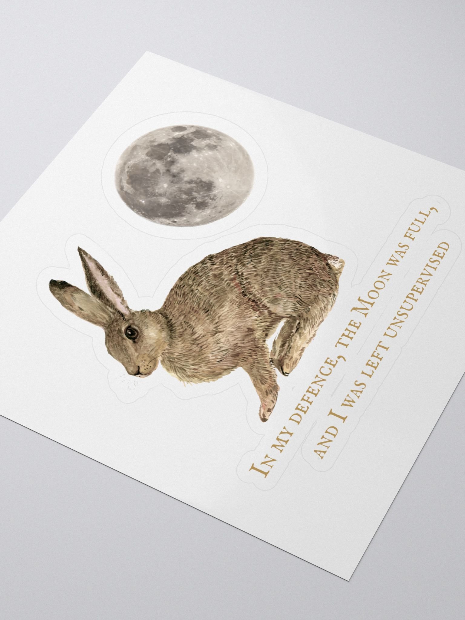 In my defence, the Moon was full... product image (3)