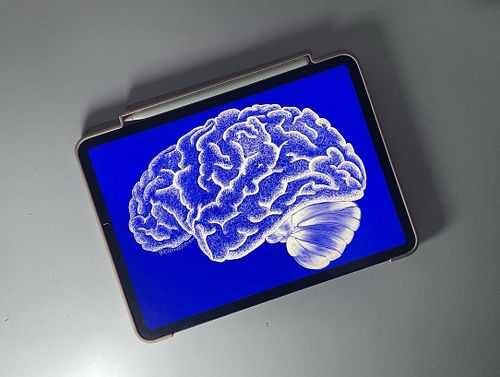 🧠
.
.
.
#med #brain #art #artofinstagram #medicine #medical #medicalstudent #pharmacy #goodnotes #artistsoninstagram #medical...