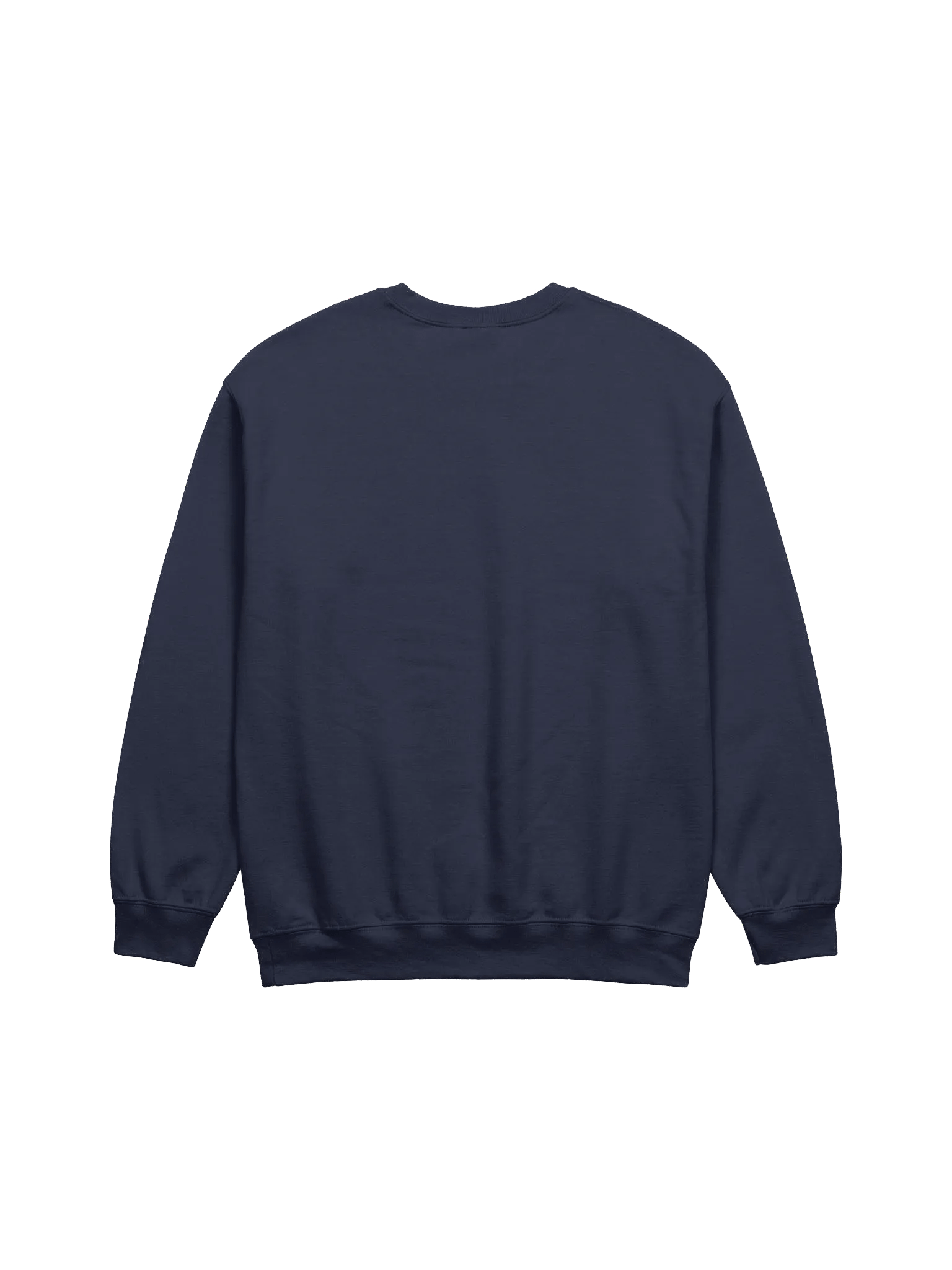 Vaccy 2.0 Sweatshirt product image (19)