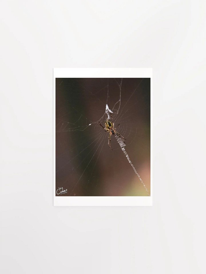 Webs - Print product image (1)