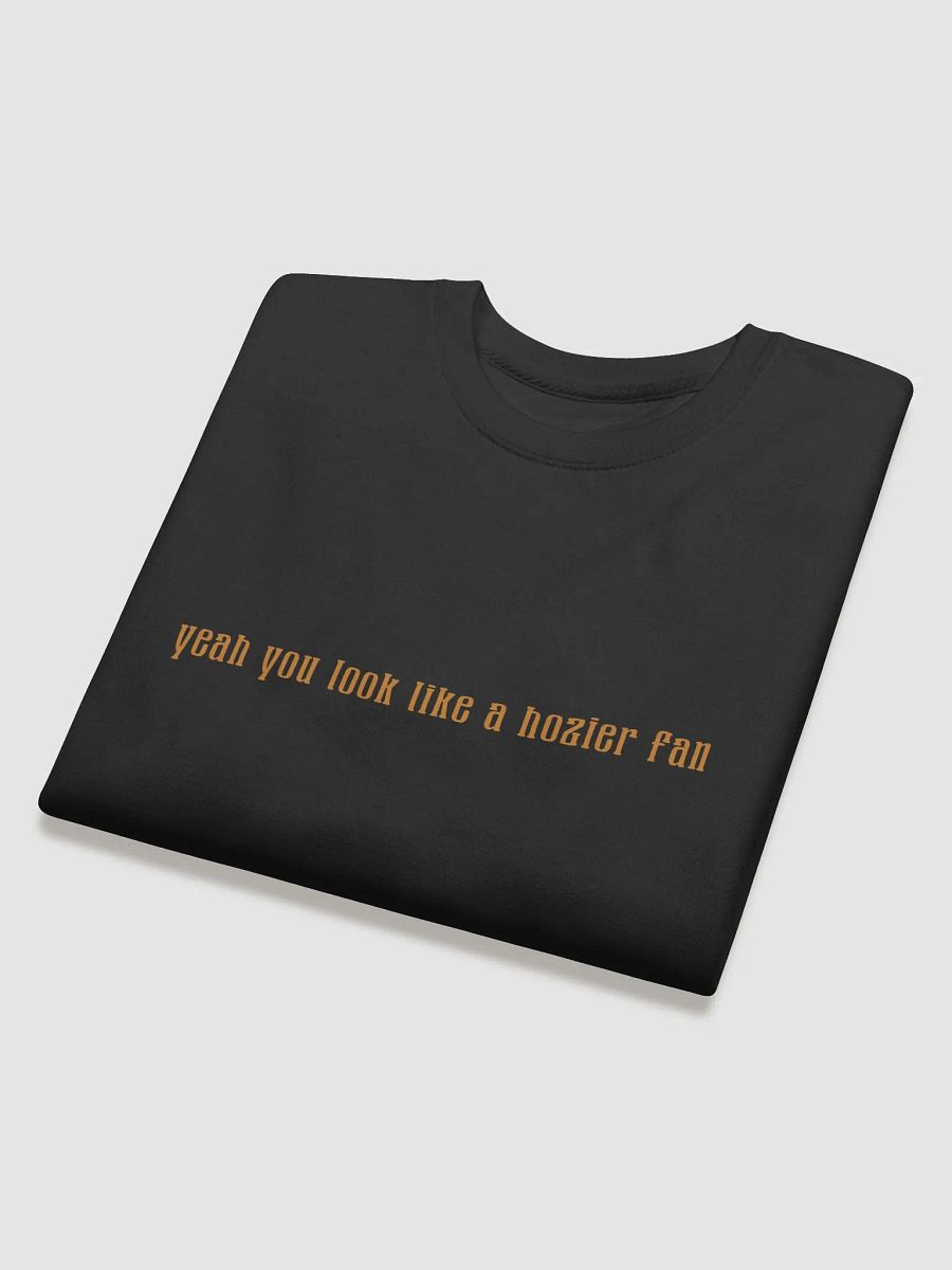 Hozier Fan Sweatshirt product image (4)