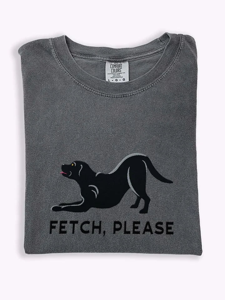 Fetch Please T-Shirt(Embroidered) of a Labrador Retriever(Black) product image (46)