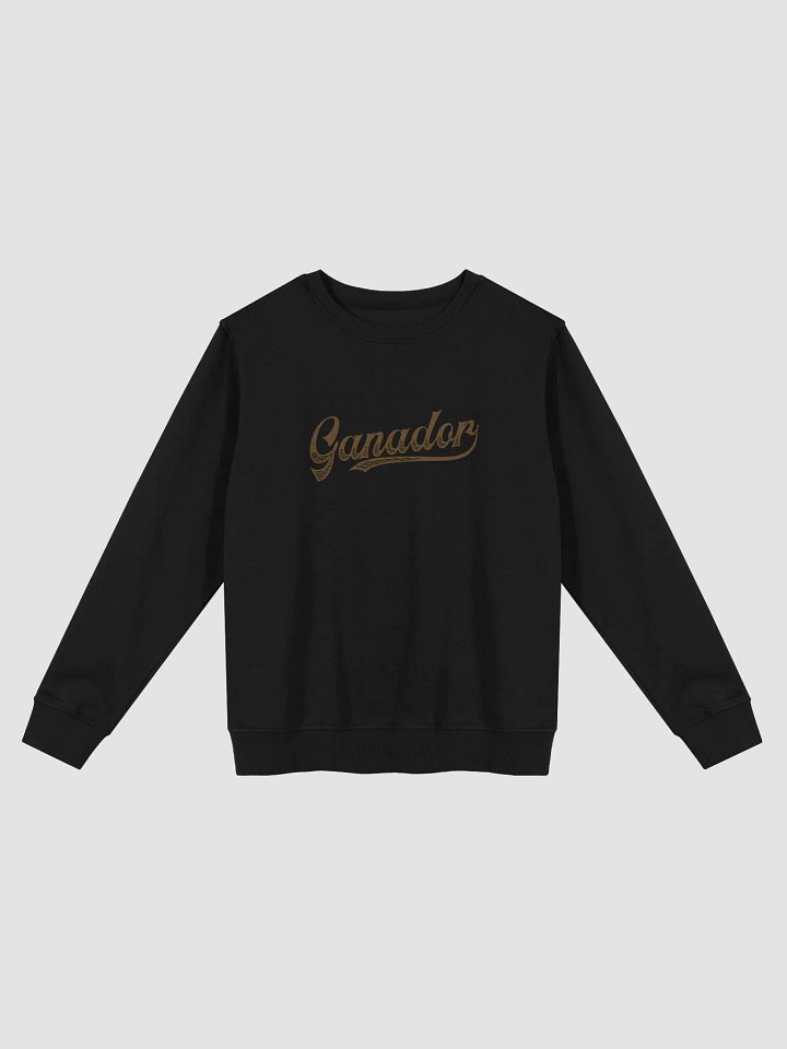 SUETER UNISEX - GANADOR - Café product image (1)