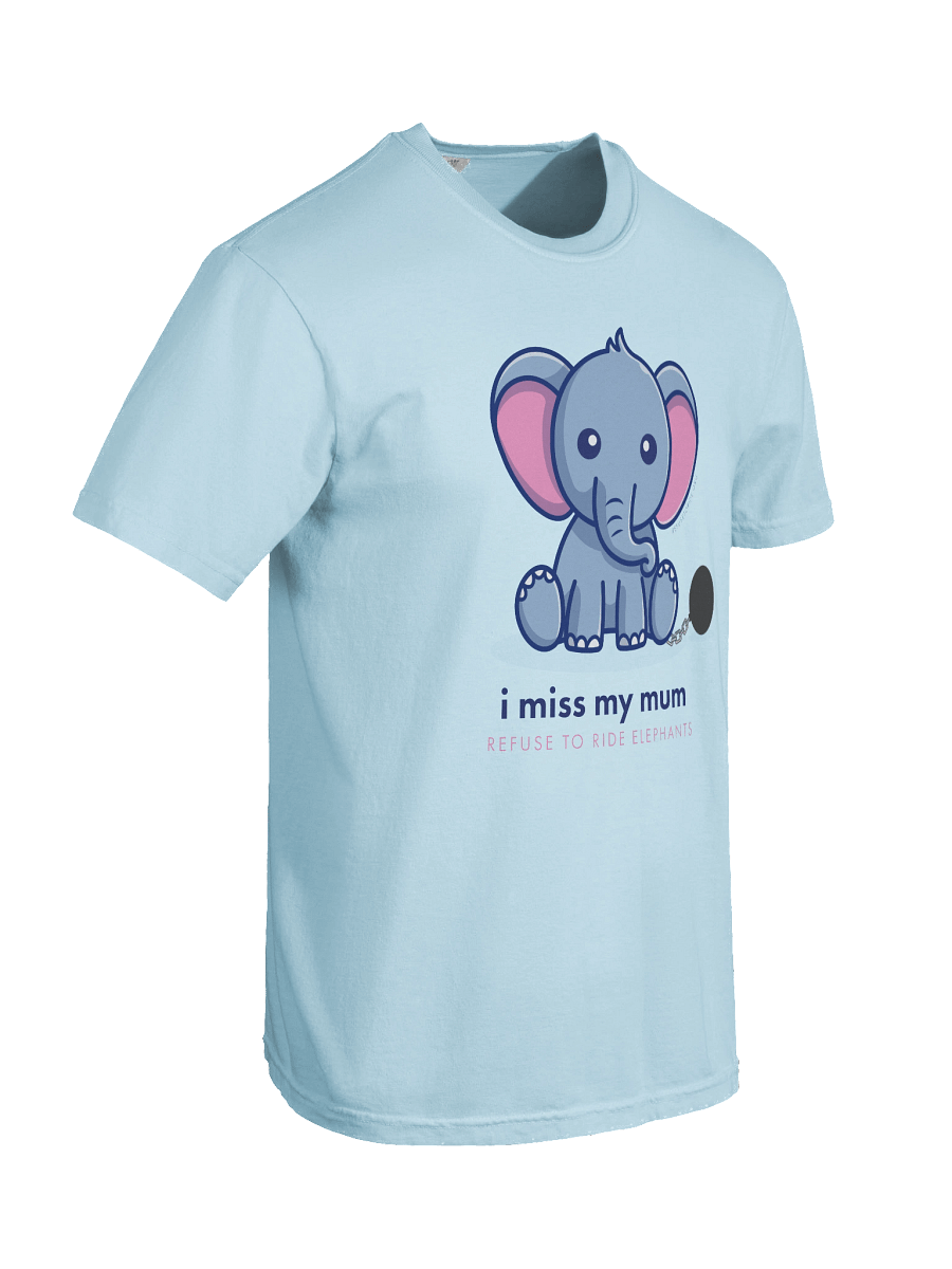 "I miss my mum" - Refuse to Ride Elephants product image (8)
