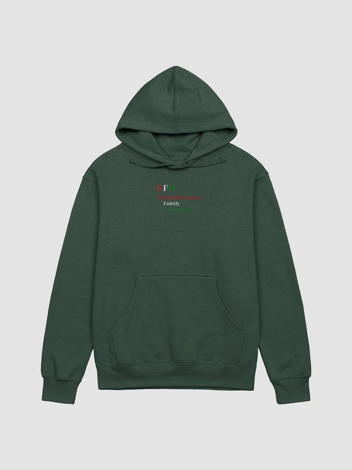 UFO Ultraconservative Family Oriented Hoodie product image (1)